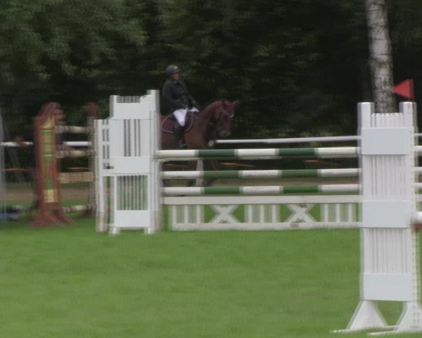 Reitturnier Berlin-Malchow 2018