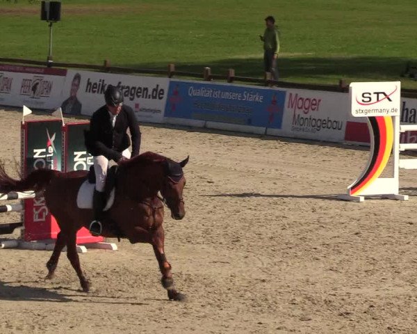 Reitturnier Westergellersen 2021