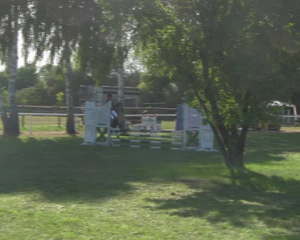 Reitturnier Berlin-Malchow 2018