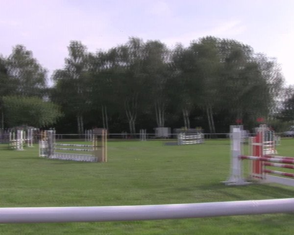 Reitturnier Berlin-Malchow 2018