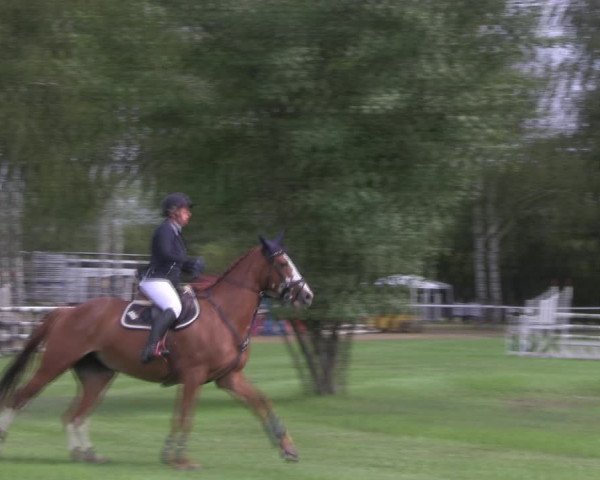 Reitturnier Berlin-Malchow 2018