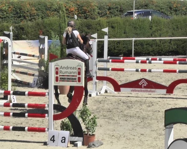 Reitturnier Durmersheim-Hardt 2018