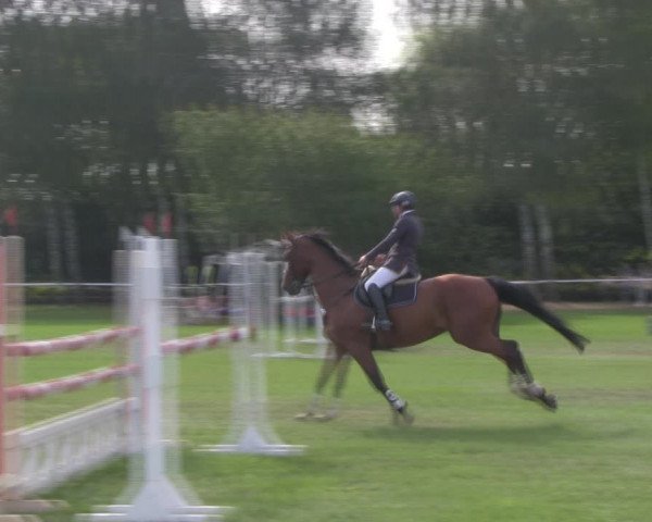 Reitturnier Berlin-Malchow 2018