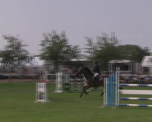 Reitturnier Berlin-Malchow 2018