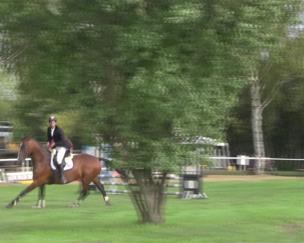 Reitturnier Berlin-Malchow 2018