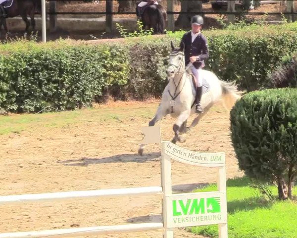 Reitturnier Recklinghausen 2018