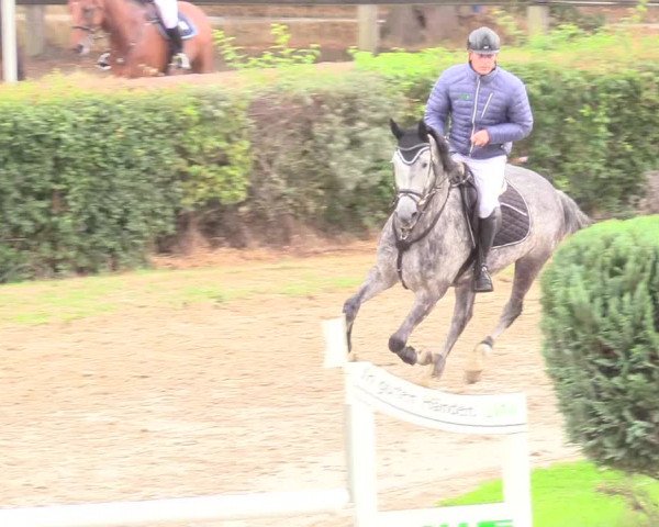 Reitturnier Recklinghausen 2018