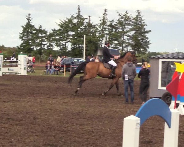 Reitturnier Löwenstedt 2018