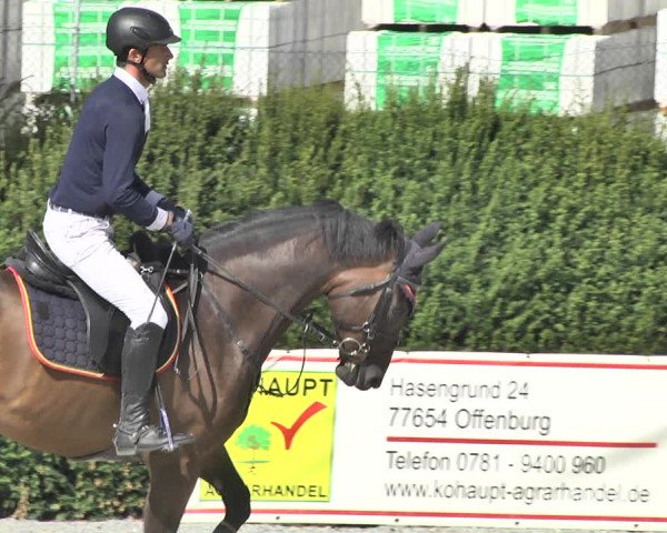 Reitturnier Durmersheim-Hardt 2018