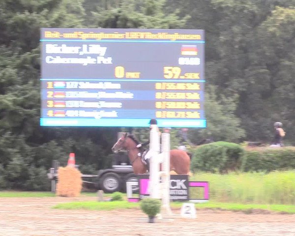Reitturnier Recklinghausen 2018
