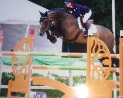 stallion Urlevent du Bary (Selle Français, 2008, from Hurlevent de Breka)