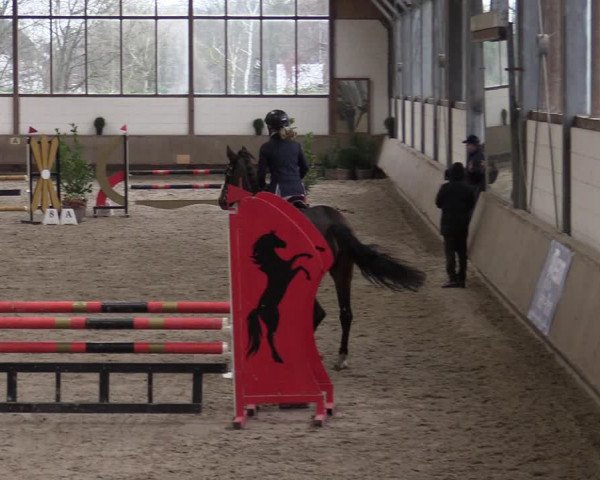 Reitturnier Langenfeld - Gut Langfort 2021