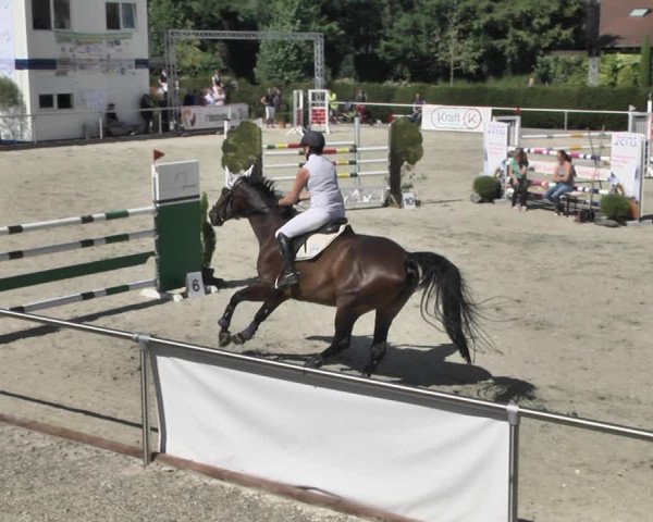 Reitturnier Durmersheim-Hardt 2018