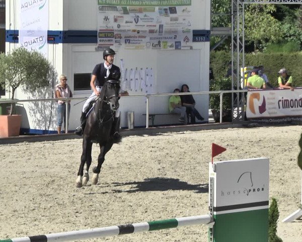 Reitturnier Durmersheim-Hardt 2018