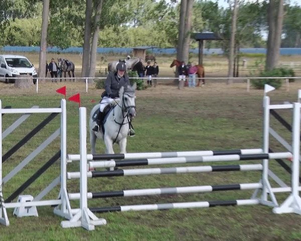 Reitturnier Reckahn 2018