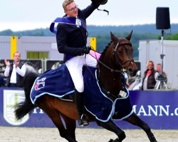 Springpferd Charis 24 (Westfale, 2002, von Cordobes II)