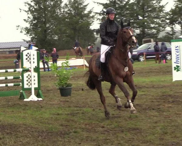 Reitturnier Löwenstedt 2018