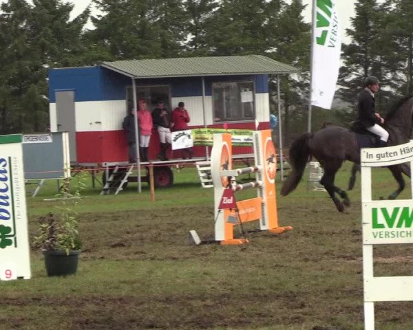 Reitturnier Löwenstedt 2018