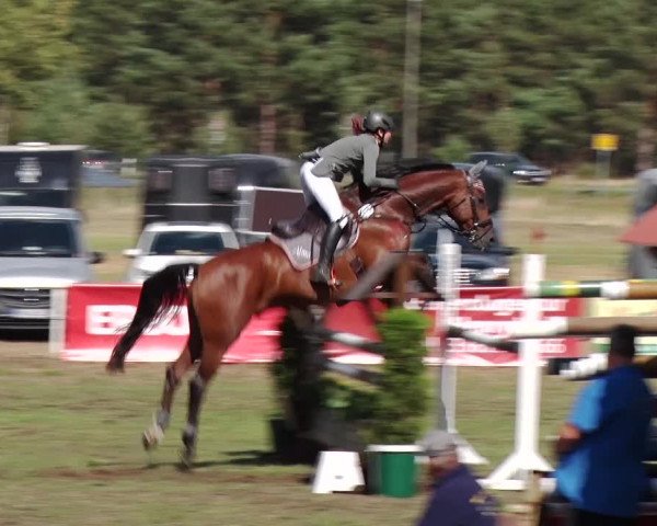 Reitturnier Reckahn 2018