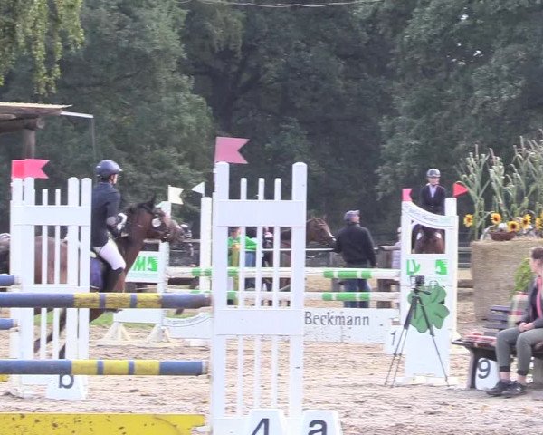 Reitturnier Recklinghausen 2018