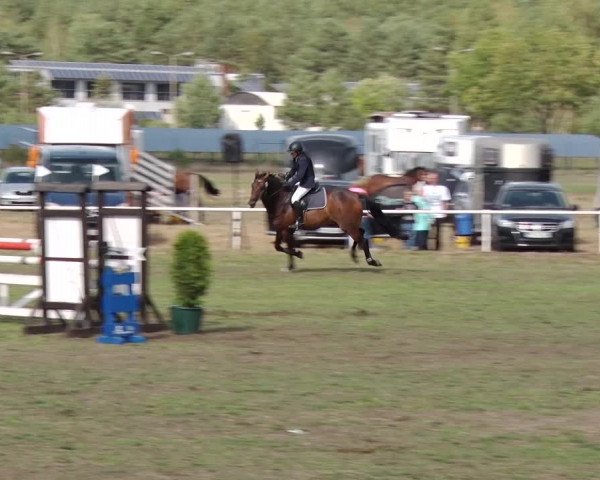 Reitturnier Reckahn 2018