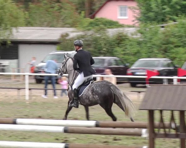 Reitturnier Reckahn 2018