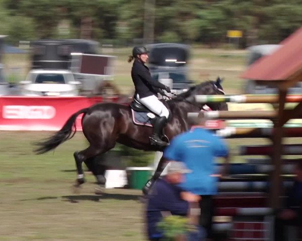 Reitturnier Reckahn 2018