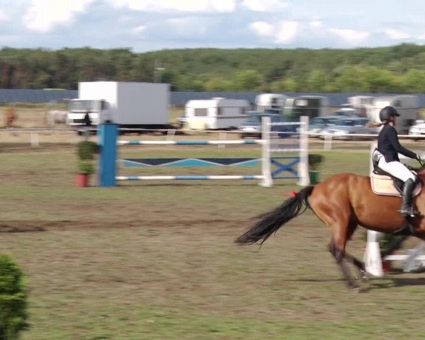 Reitturnier Reckahn 2018