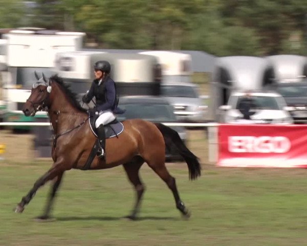 Reitturnier Reckahn 2018