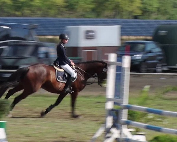 Reitturnier Reckahn 2018