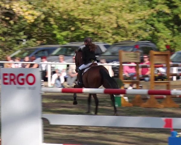 Reitturnier Reckahn 2018