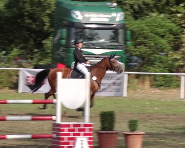 Reitturnier Reckahn 2018