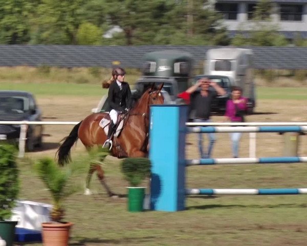 Reitturnier Reckahn 2018