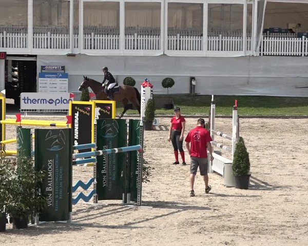 FEI Reitturnier Humlikon (SUI) 2018