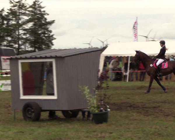 Reitturnier Löwenstedt 2018