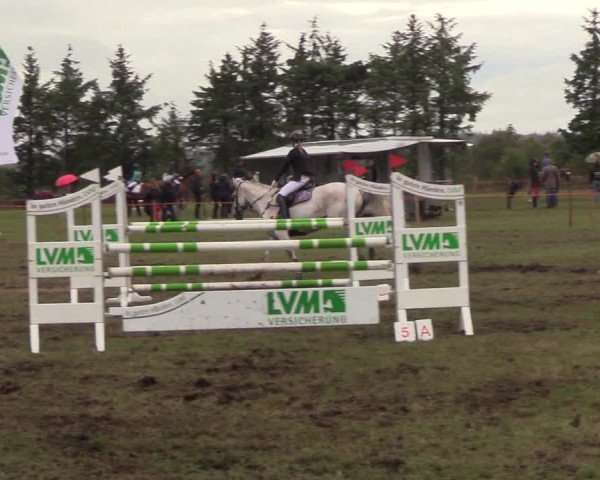 Reitturnier Löwenstedt 2018