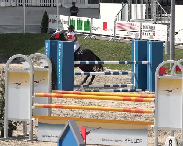 FEI Reitturnier Humlikon (SUI) 2018
