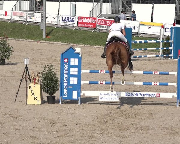 FEI Reitturnier Humlikon (SUI) 2018