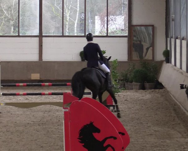 Reitturnier Langenfeld - Gut Langfort 2021