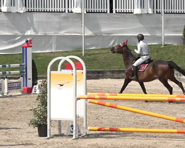 FEI Reitturnier Humlikon (SUI) 2018