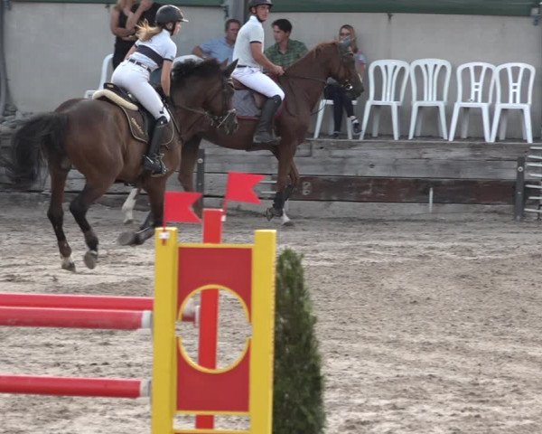 FEI Reitturnier Humlikon (SUI) 2018