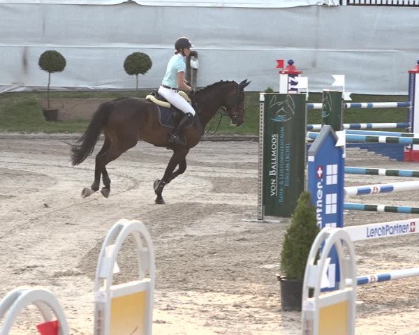 FEI Reitturnier Humlikon (SUI) 2018