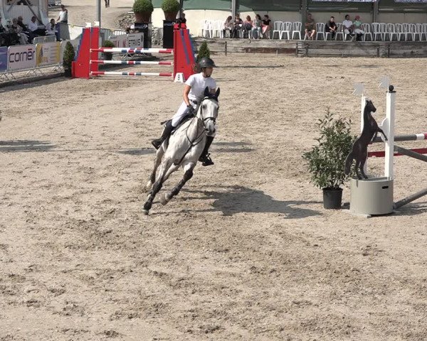 FEI Reitturnier Humlikon (SUI) 2018