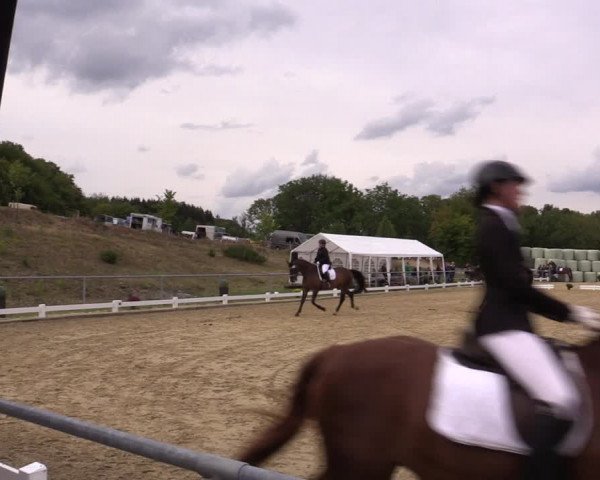 Reitturnier Bühren-Breckerfeld 2018