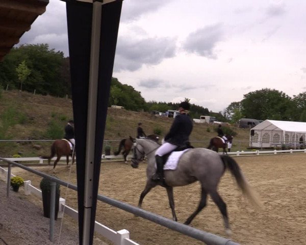 Reitturnier Bühren-Breckerfeld 2018