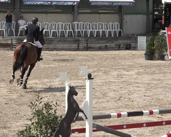 FEI Reitturnier Humlikon (SUI) 2018