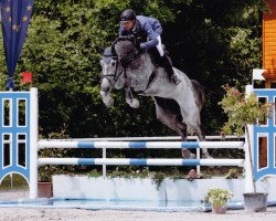 broodmare Grande Cherie PJ (Hanoverian, 2012, from Grey Top)