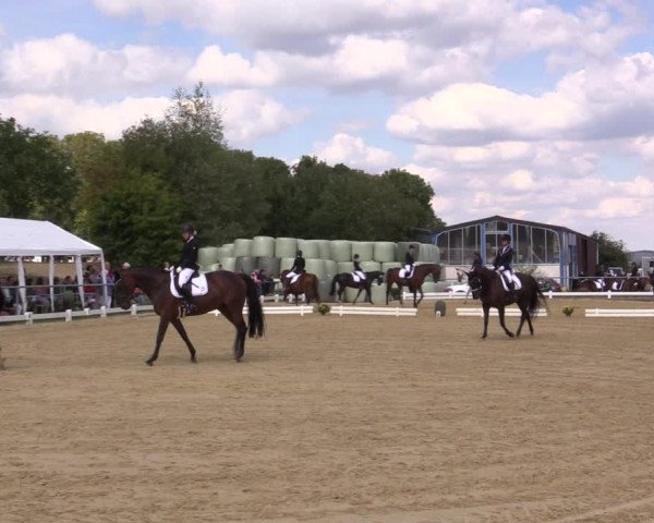 Reitturnier Bühren-Breckerfeld 2018
