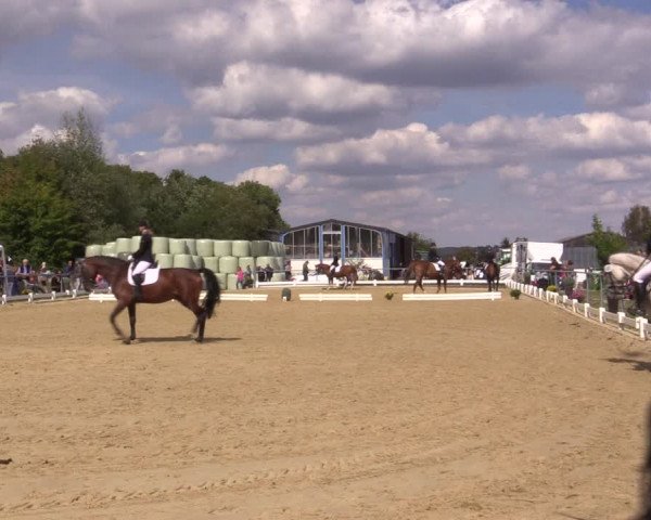 Reitturnier Bühren-Breckerfeld 2018
