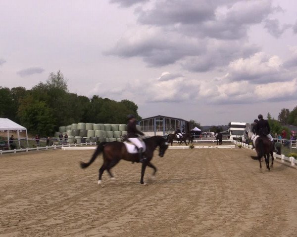 Reitturnier Bühren-Breckerfeld 2018